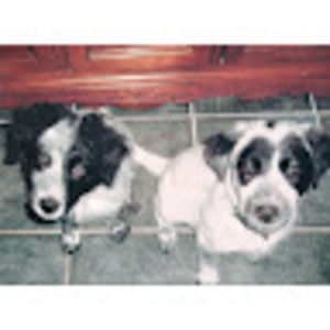 Meet your Posher, Carmen